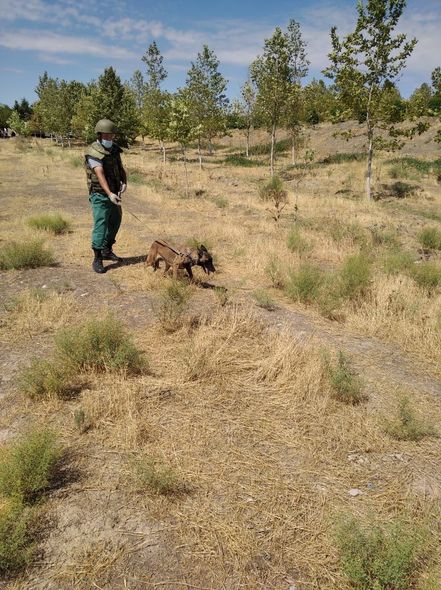 Füzulidə partlayış: ANAMA hadisə yerindən 130 qram partlayıcı maddə aşkarladı - FOTO