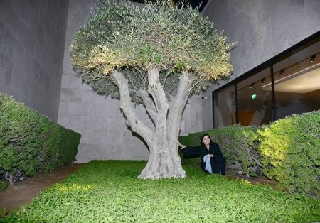 Leyla Əliyeva Luvr Əbu-Dabi muzeyini və İbrahim Ailə Evini ziyarət edib - FOTOLAR