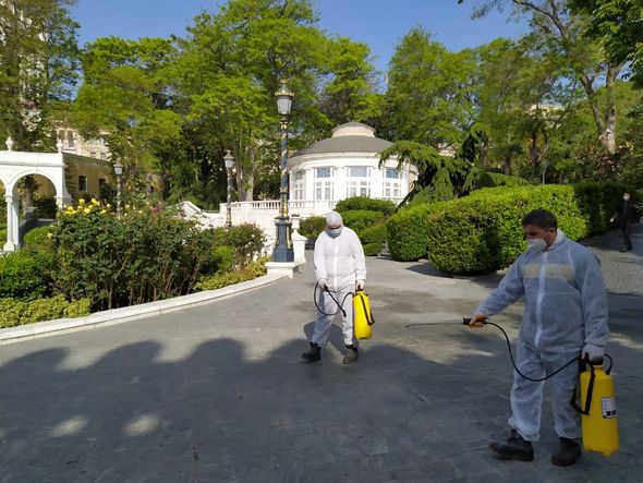 Bakı parkları yenidən açılışa hazırlaşır - FOTO
