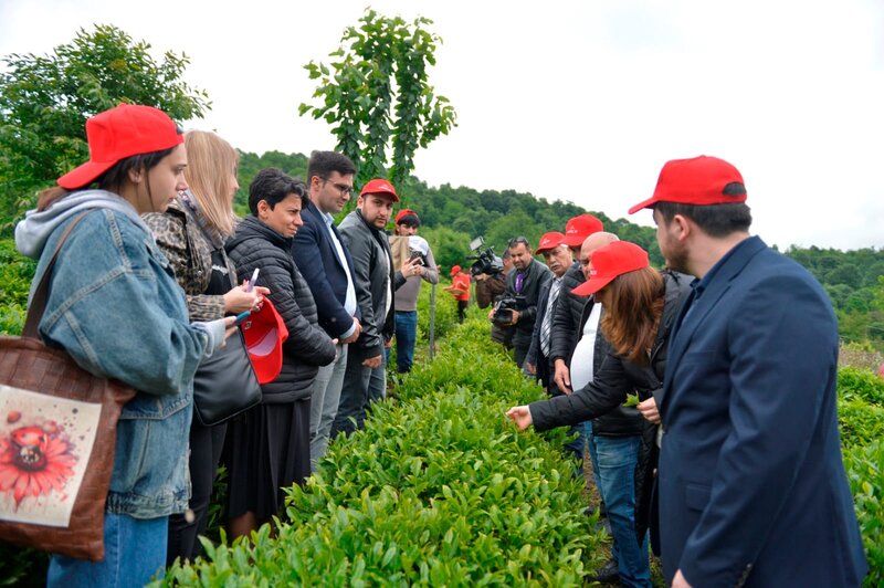 Əsas məqsədimiz çay mədəniyyətinin qorunması və inkişafıdır