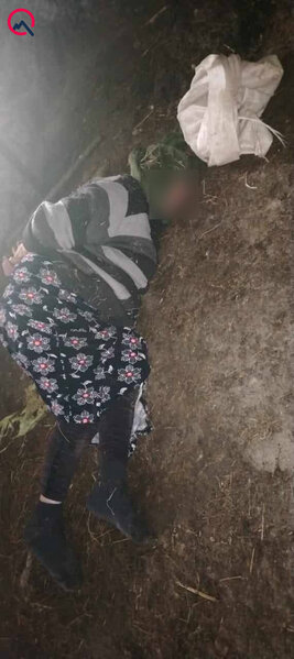 74 yaşlı qadının əl-ayağını bağlayıb başına kisə keçirdilər - Pullarını da oğurladılar