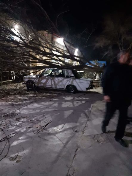 Kürdəmirdə külək ağacı avtomobilin üzərinə aşırdı – FOTOLAR