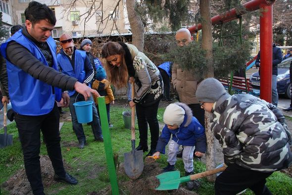 Könül Nurullayeva seçiciləri ilə birlikdə ağacəkmə aksiyası keçirib - FOTO