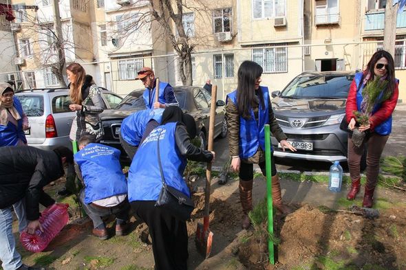 Könül Nurullayeva seçiciləri ilə birlikdə ağacəkmə aksiyası keçirib - FOTO