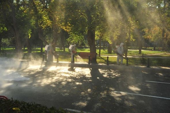 Paytaxt küçələri növbəti dəfə dezinfeksiya edildi - FOTO