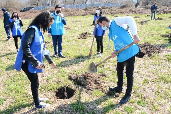 "Yaşıl Marafon" layihəsi üzrə ağacəkmə aksiyaları uğurla davam edir - FOTO
