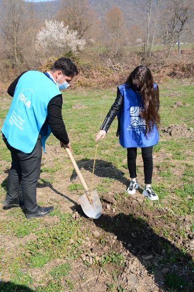 "Yaşıl Marafon" layihəsi üzrə ağacəkmə aksiyaları uğurla davam edir - FOTO