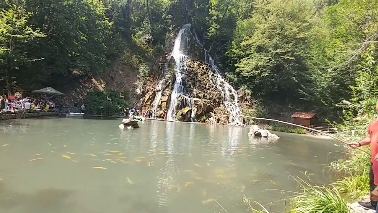 Sərt karantin elan edilən rayonlardan Oğuza istirahətə gələn şəxslər cərimələnib - FOTO