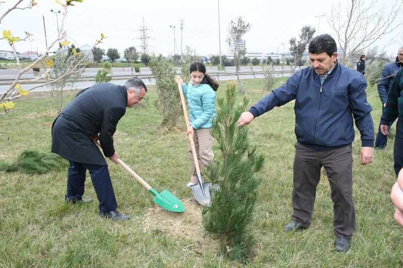 Abşeron rayonunda 