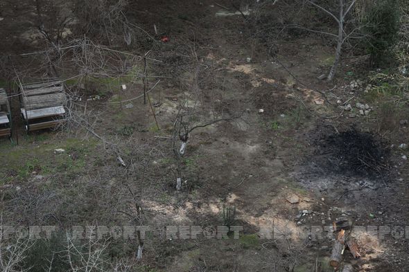 Nizami rayonunda ağaclar məhv edilir - FOTO