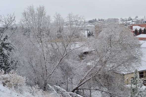Daşkəsənə ilk qar yağıb - FOTO