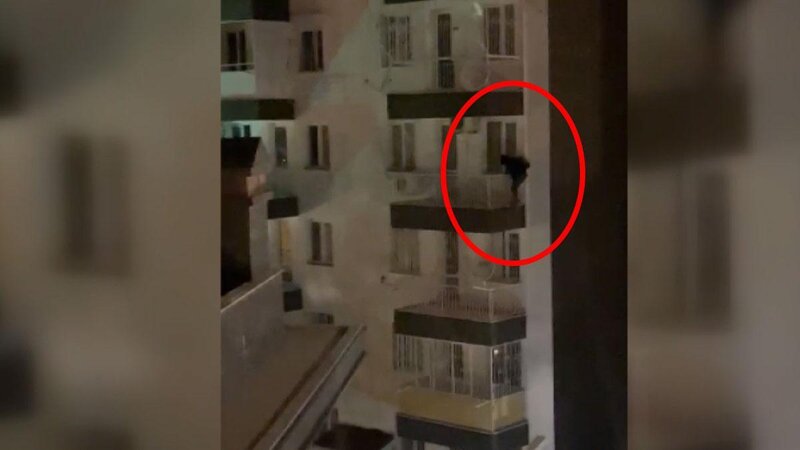 "Hörümçək oğru" binaya dırmaşdığı kimi düşməyə məcbur edildi - VİDEO