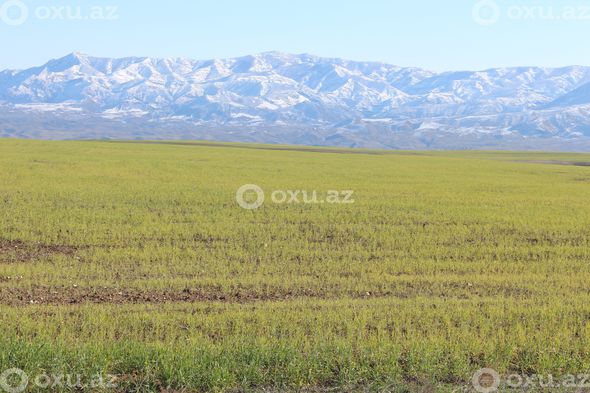 Minglərin məskəni olan Mincivandan FOTOREPORTAJ