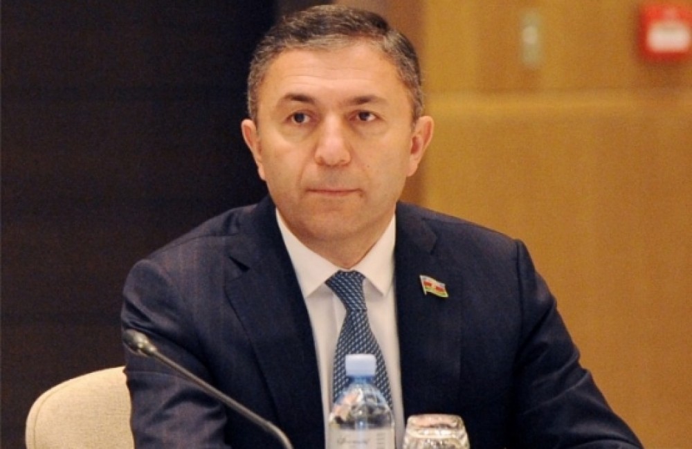 Parlamentin komitə sədri: "Gələcəyimizi görə bilmirdik, çox əndişəli idik" 