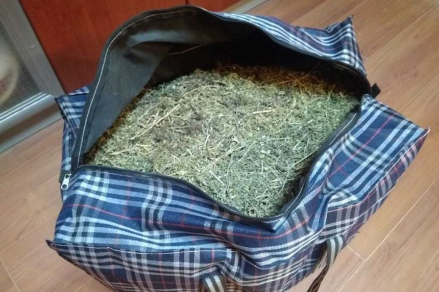 Abşeron və Gəncə sakinlərindən 5 kq narkotik götürülüb