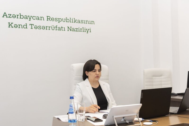 BMT-nin Qida Sistemləri üzrə Zirvə toplantısı keçiriləcək – FOTO 