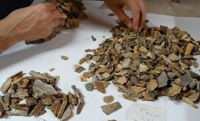 Fransada 41 000 il əvvələ aid iki yaşlı neandertal qalıqları tapılıb