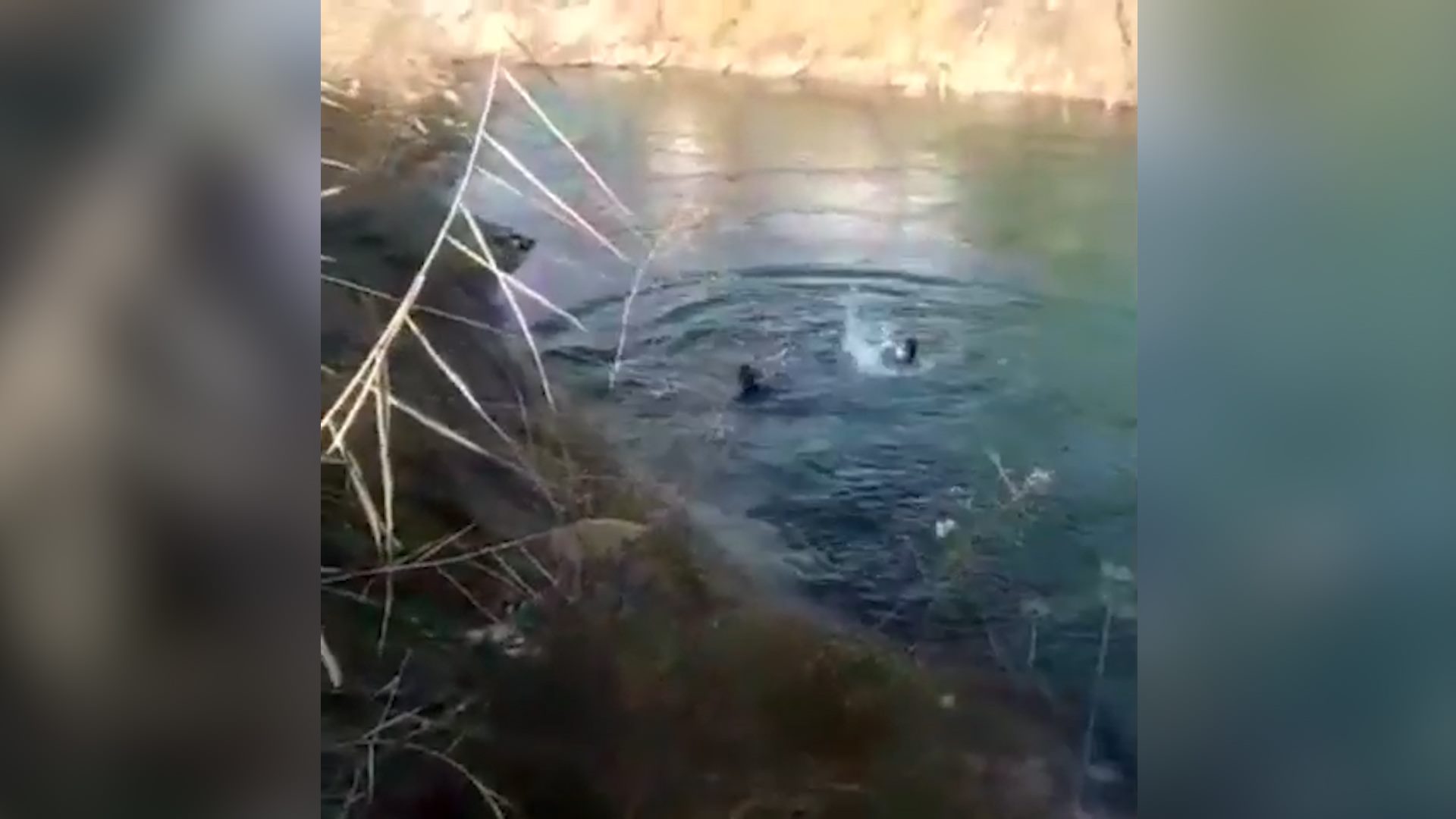 Azərbaycanda intiharın qarşısı belə alındı - ANBAAN VİDEO