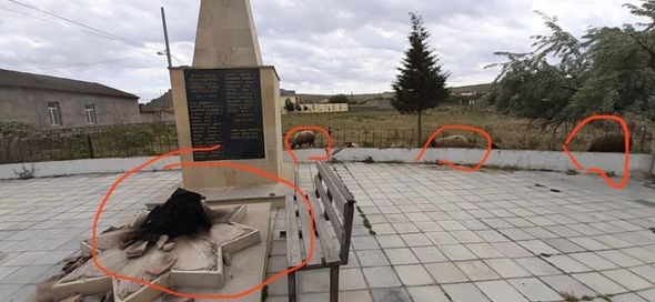 Azərbaycanda şəhidlər bulağında qoyun saxlayırlar - FOTO