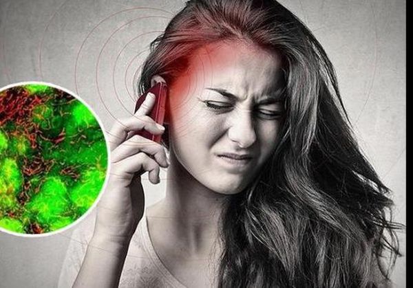 Smartfonların xərçəngin yaranmasına təsiri sübut olundu 
