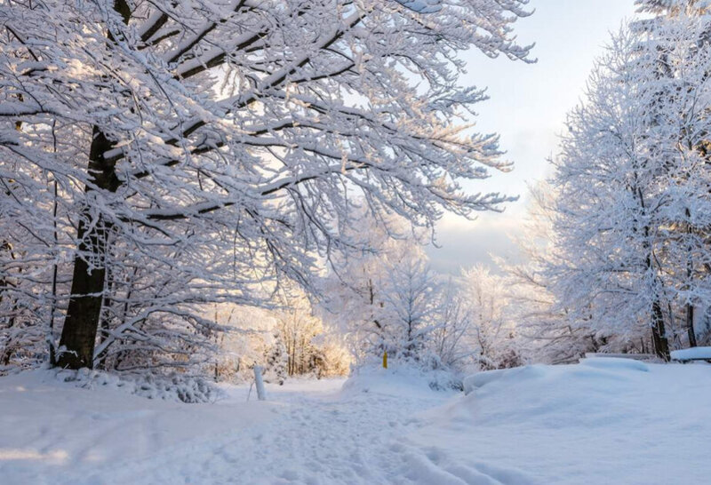 Azərbaycana qış fəsli daxil olub