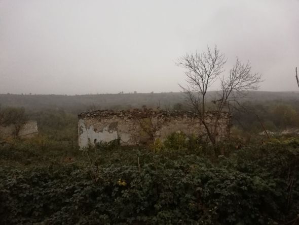Vətən bizim üçün darıxmışdı