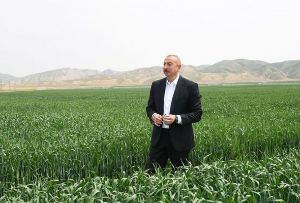 Hacıqabulda "Aqro Dairy" MMC-nin aqroparkının təqdimatı oldu - YENİLƏNİB+FOTO/VİDEO
