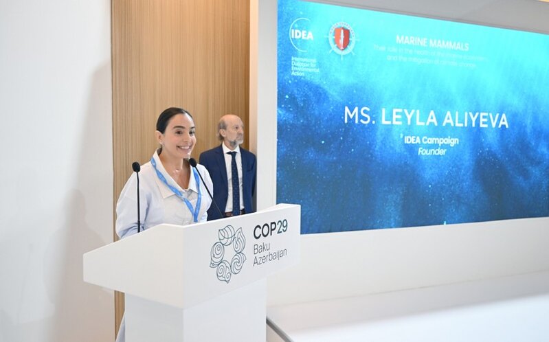 Leyla Əliyeva COP29 çərçivəsində dəniz canlılarına dair panel müzakirələrində iştirak edib