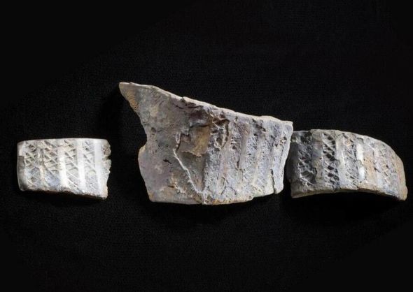 Metal detektoru ilə axtarış aparan qadın vikinqlərin xəzinəsini tapdı - FOTO/VİDEO