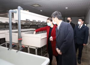 Yaponiya səfiri Neftçala rayonuna səfər edib - FOTO