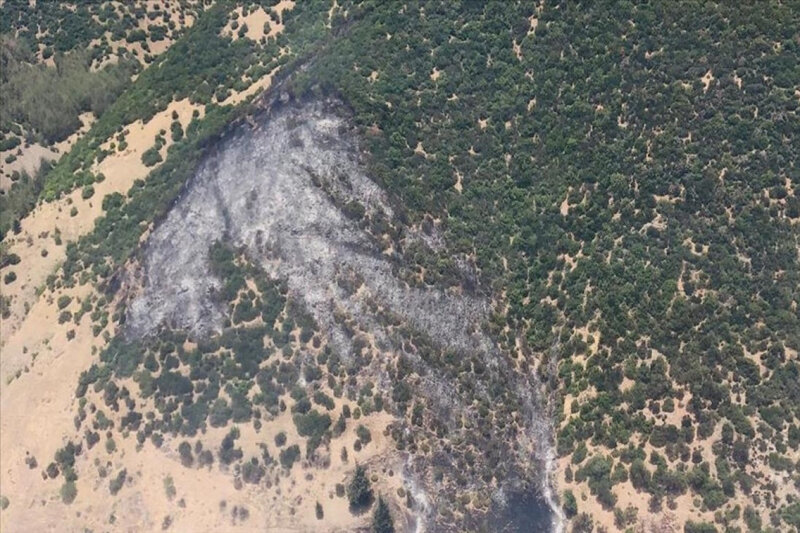 Türkiyədə meşə yanğını baş verdi