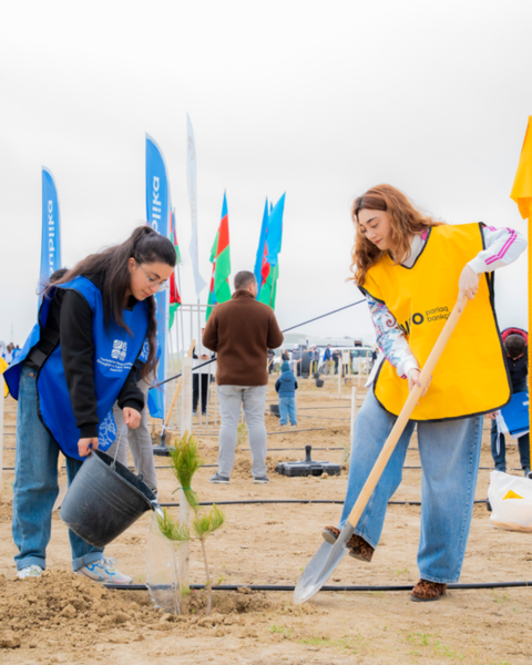 Yelo Bank-dan 1 milyon ağac hədəfinə parlaq dəstək