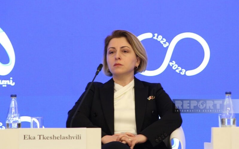 Gürcüstanın sabiq Baş nazir müavini: 'Azərbaycanda milli kimliyin əsası Heydər Əliyev dövründə qoyulub