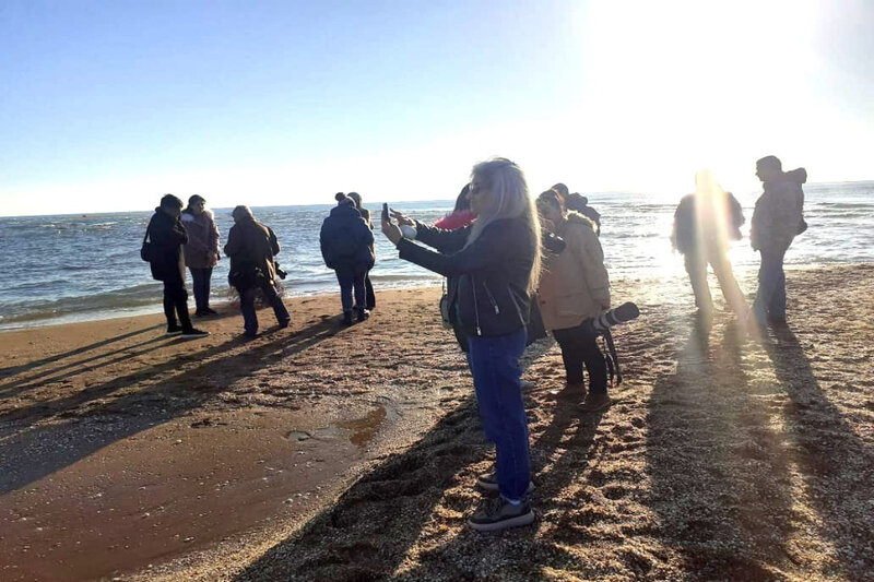 Bayram günlərində milli parkları ziyarət edən turistlərin sayı açıqlandı - FOTO