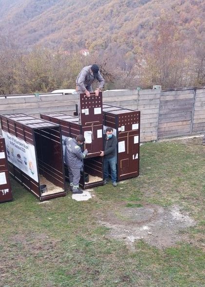 Azərbaycana zubrlar gətirildi - FOTO/VİDEO 