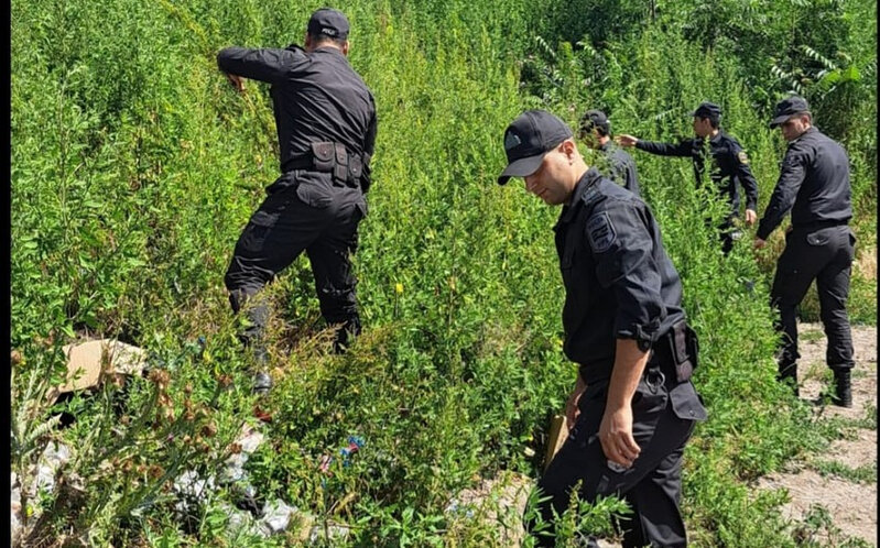 DİN və DTX Laçında birgə əməliyyat keçirdi - FOTO