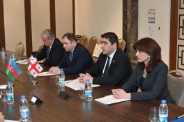 Sahibə Qafarova Gürcüstan parlamentinin sədri ilə görüşüb - FOTO