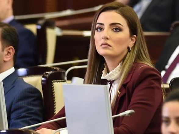 Deputat: "Koronavirus pandemiyası könüllülük prioritetlərinin də miqyasını genişləndirib" 