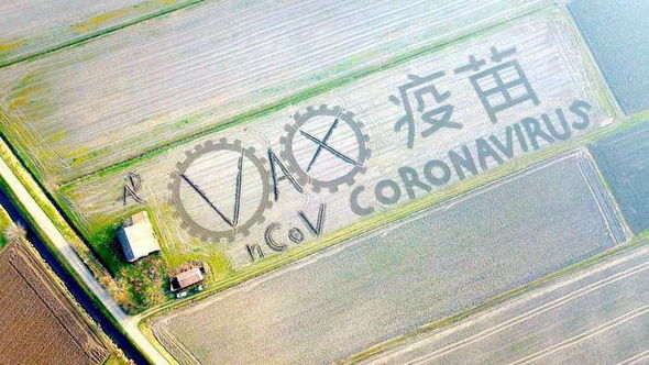 Rəssam traktorun köməyilə koronavirus "yaratdı" - FOTO