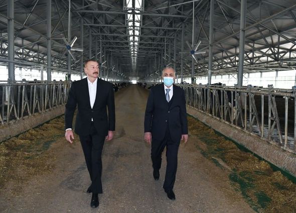 Prezident Hacıqabulda aqroparkın açılışında iştirak etdi - FOTO/VİDEO