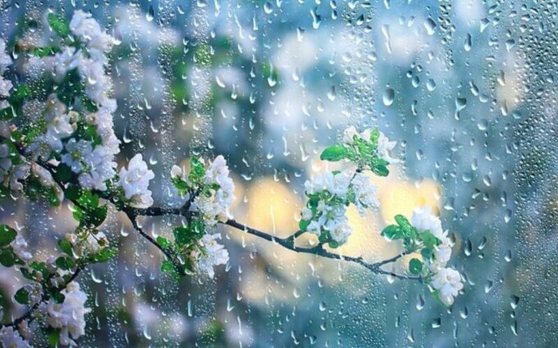 Hava kəskin dəyişir - Gecəyə doğru fırtına və şimşək olacaq