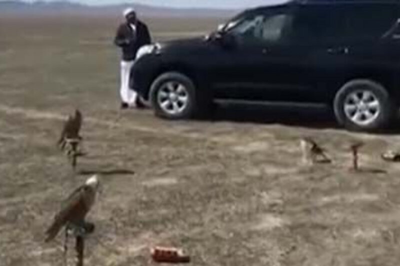 Turist vizasının verilməsi dayandırılıb, göyərçini drona bağlayan ərəblər Azərbaycana necə gəliblər? - VİDEO