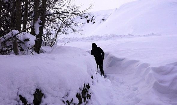 Türkiyədə kənd qarın atında qaldı: Evlərdən çıxmaq üçün tunel qazırlar - FOTO