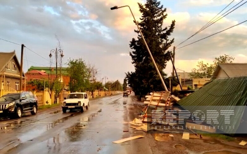 Güclü külək ağacları qırdı - Köhnə Ələt-Astara magistralı bağlandı - FOTO