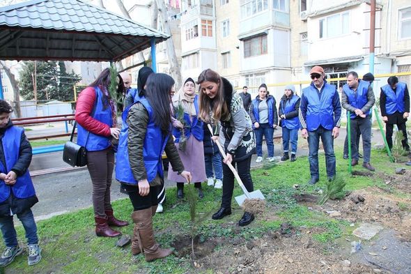 Könül Nurullayeva seçiciləri ilə birlikdə ağacəkmə aksiyası keçirib - FOTO