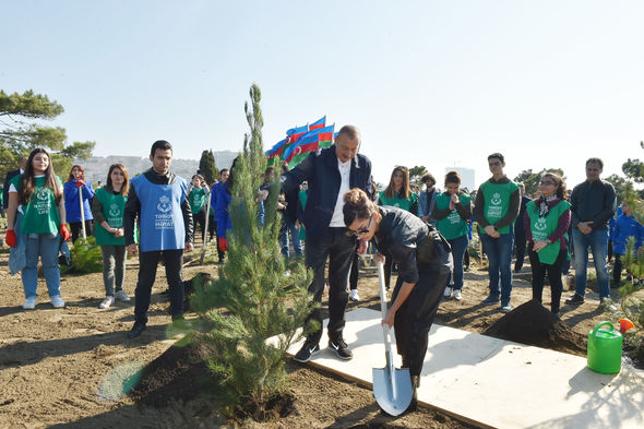İlham Əliyev və Mehriban Əliyeva ağacəkmə aksiyasında - FOTO