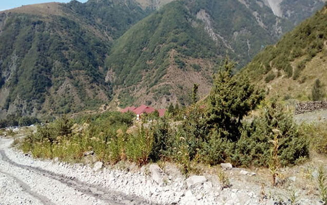 Vətən müharibəsi qazisinin dağlıq ərazidə meyiti tapıldı