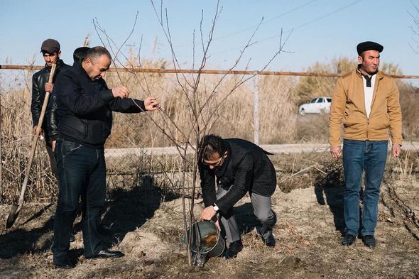 Ramin Məmmədov Sabirabadda ağacəkmə aksiyasında iştirak edib - FOTO