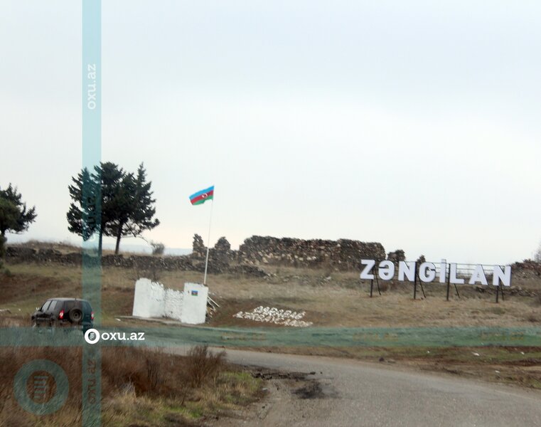 Zəngilanda növbəti ağacəkmə aksiyası keçirilib