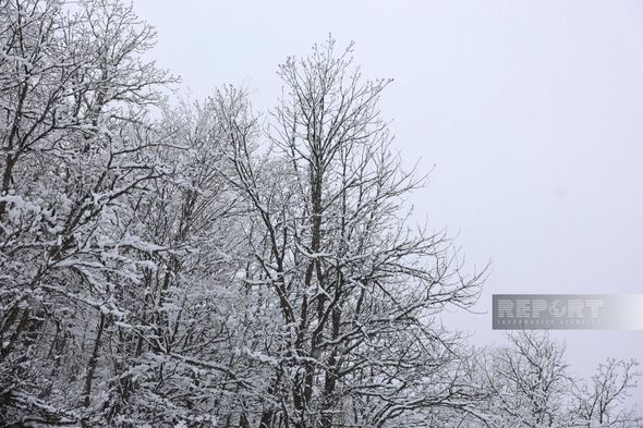 Qarlı Şuşadan FOTOREPORTAJ